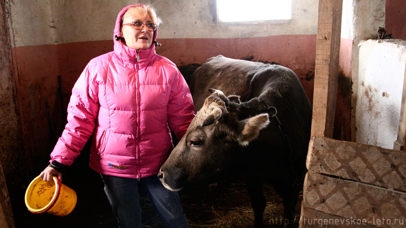 Корова "Умница" даёт очень вкусное молоко. Рядом хозяйка Татьяна Сергеевна Волкова.