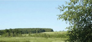 main_baner_01